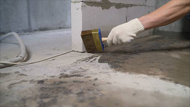 SJ Waterproofing Pros Waterproofing coverage map for Blountville, TN and surrounding area